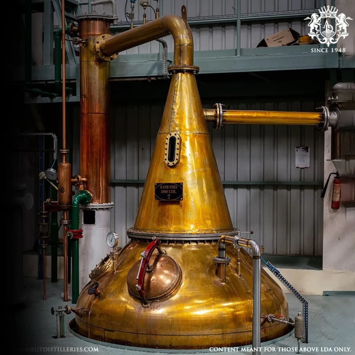 Amrut
