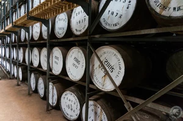 Pulteney 2008 1st Fill Rivesaltes Barrique